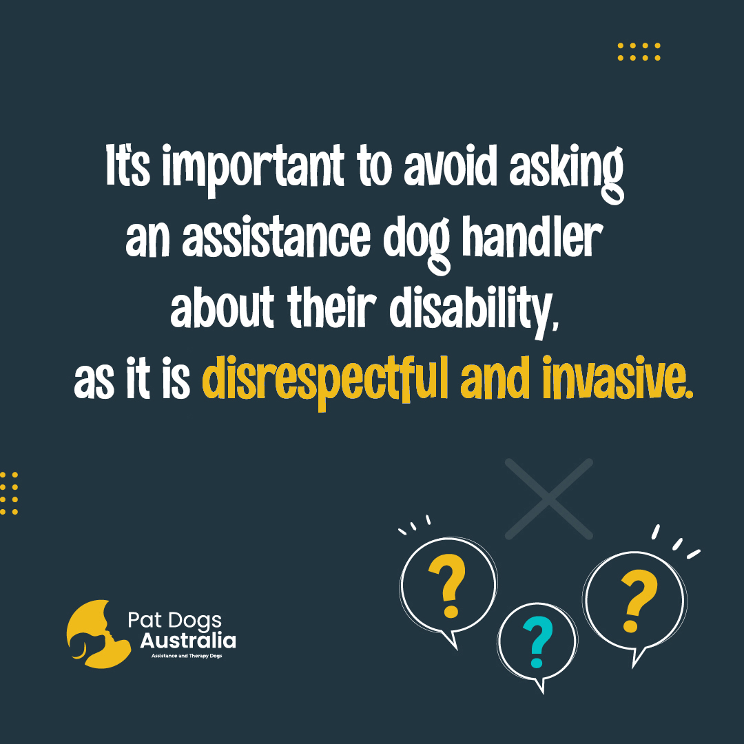 Show some  respect: Avoid asking an assistance dog handler about their disability.  It's important to understand that such questions can come off as  disrespectful and intrusive.  🐾 #assistancedogs #therapydogs #mentalhealth #autism #iliketopatdogs