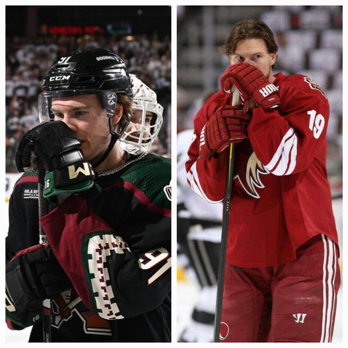 Pibbaholic's tweet photo. #Yotes Forever https://t.co/AIGKSM6O4W