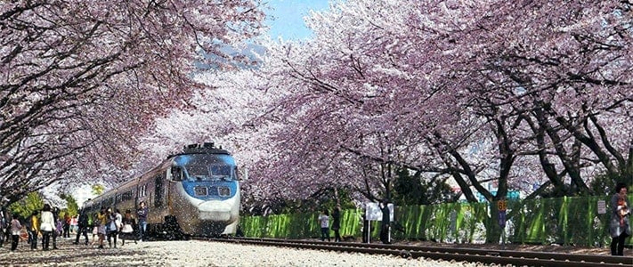 Sheng halil tweet media