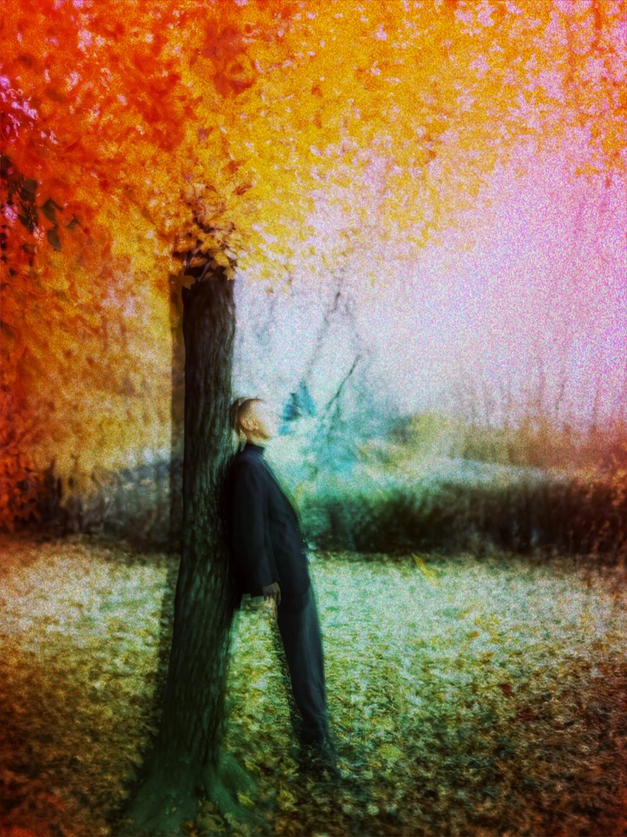 somewherelse9's tweet photo. Solitude In Spring https://t.co/Sdi2pH0InX