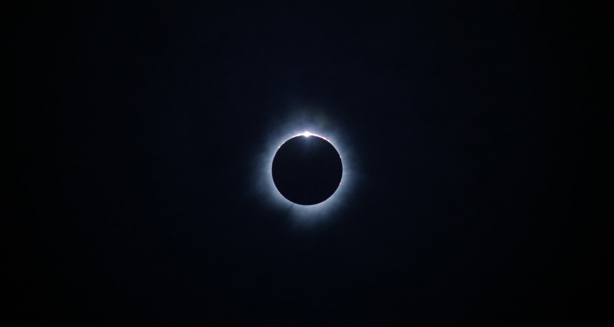 Aven 🐞🌌 tweet media