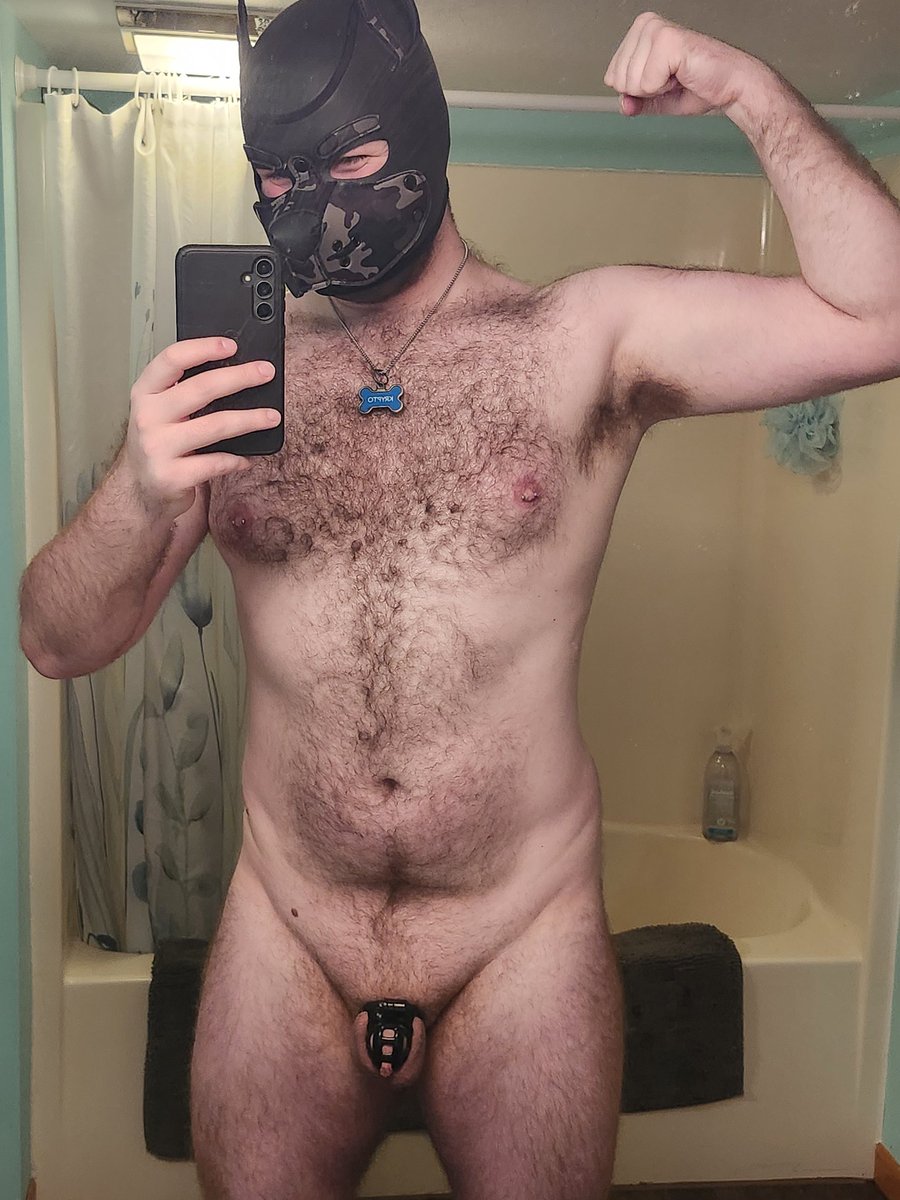 pupkryptowi's tweet photo. Happy send a nude day!!! #sendanude #pupplay #chastity #krypto #muscles #hairy https://t.co/72BeDlkzpw