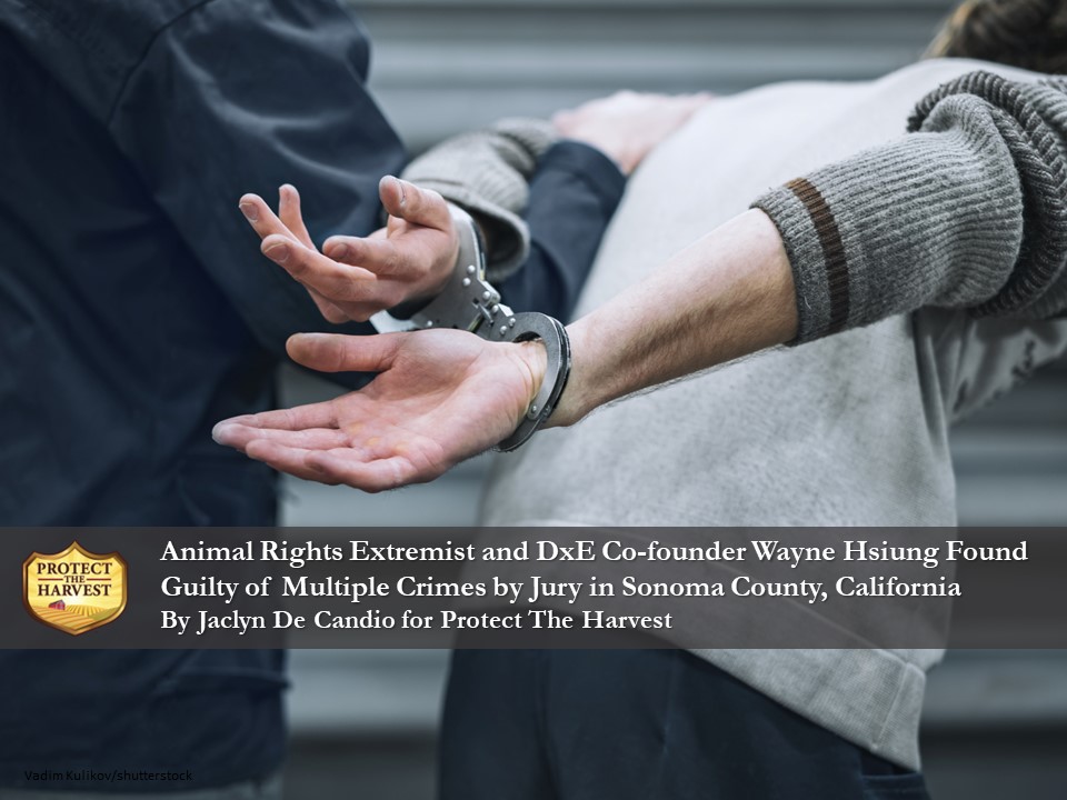 In case you missed it...Animal extremist criminal Wayne Hsuing has been convicted of more felonies.
#animalextremism #criminal #trespassing #robbery #freeandfedamerica #keepamericafreeandfed
protecttheharvest.com/news/animal-ri…