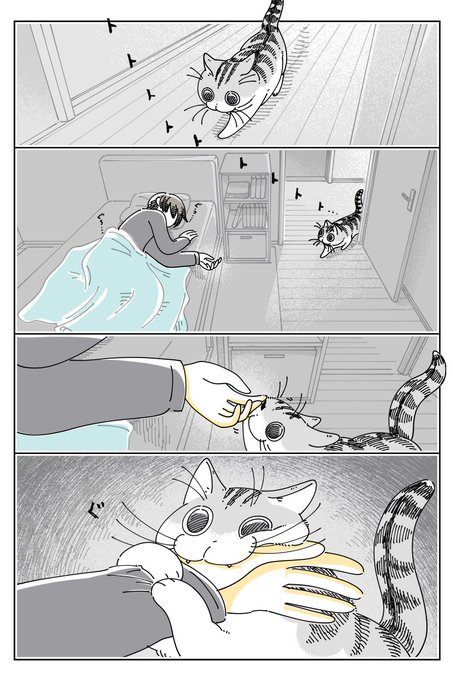 GLfwKvXbcAAysTF.jpg:small