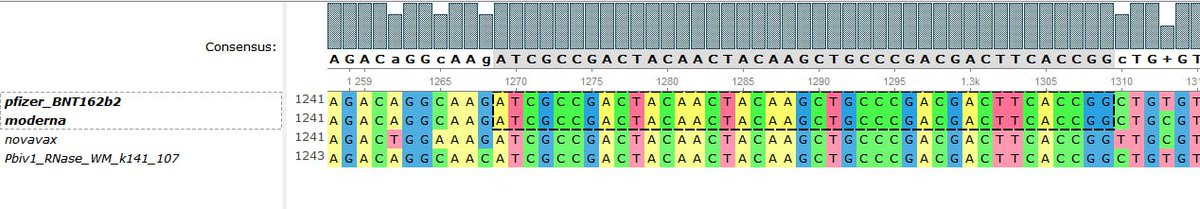 Jikkyleaks's tweet photo. @TrialsiteN Is that because we caught them out having colluded to conserve a gene sequence between all the companies that just happened to have a PAM sequence?
Bookmark this sequence
👇👇👇👇👇👇👇
ATCGCCGACTACAACTACAAGCTGCCCGACGACTTCACCGG
#CRISPRgate
@JesslovesMJK @AdhesionsOrg https://t.co/mXyN6ih1sb