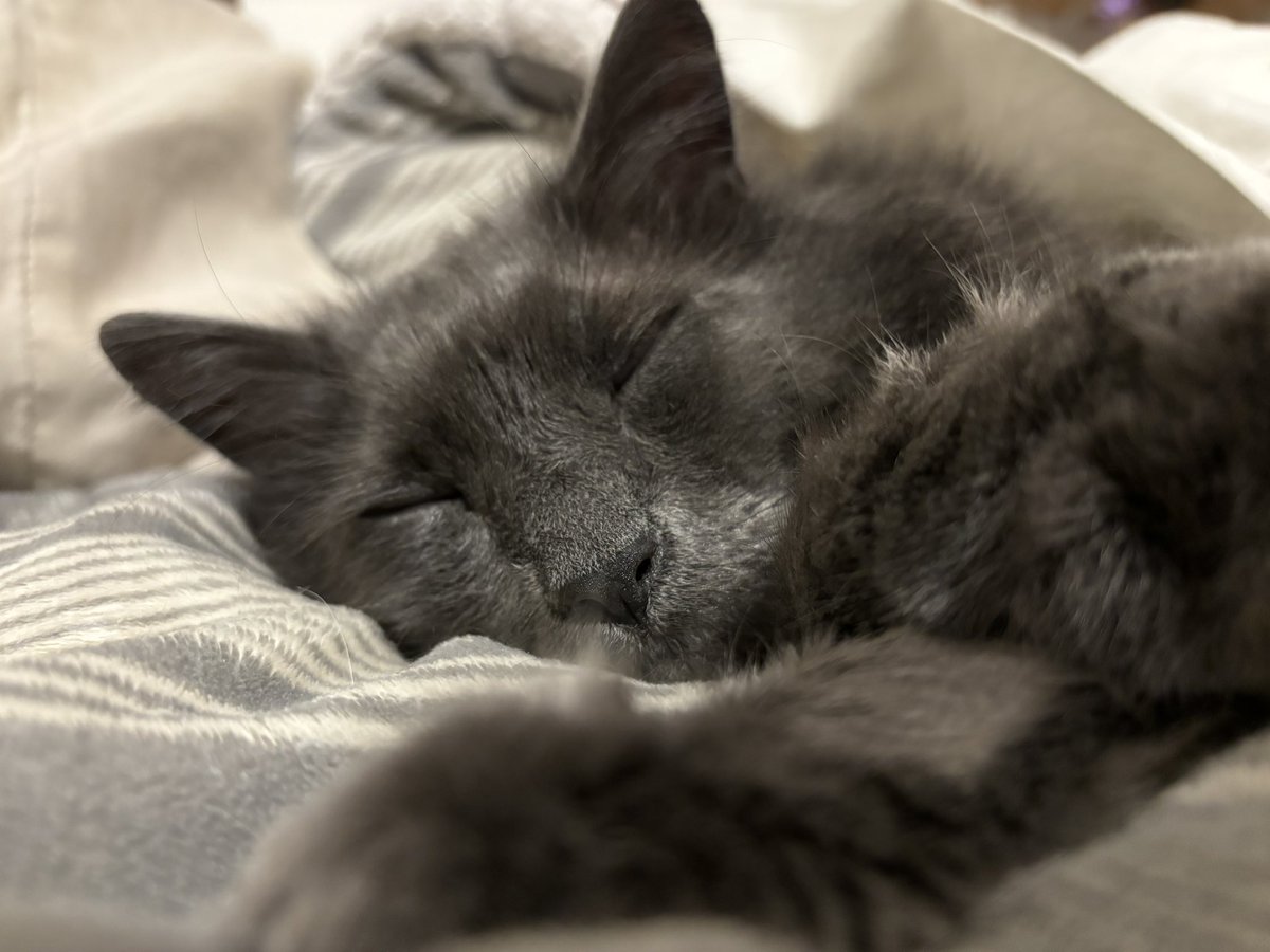 mine 10 yr old body may b slowin down, but I will always b dads baby ❤️