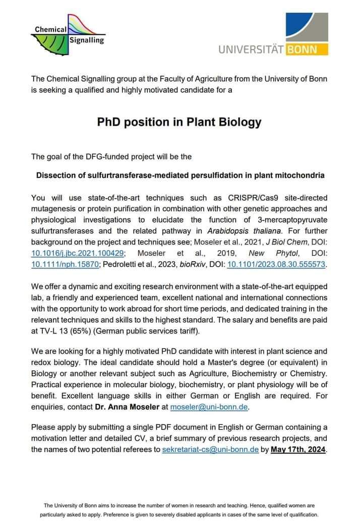 DrasmaJabeen1's tweet photo. PhD position Germany #phd #phdlife #phdfriend #phdchat #academictwitter https://t.co/fUvNMAentD
