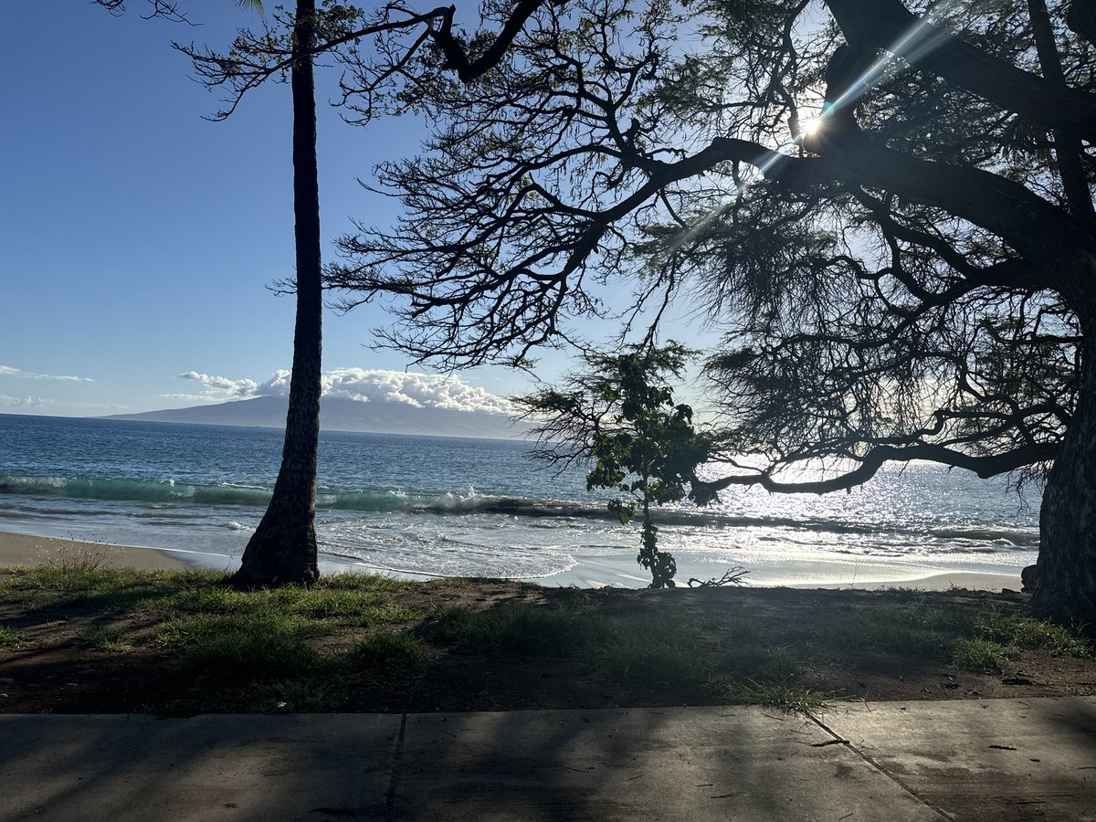 mandotime03's tweet photo. #lanai https://t.co/czUEPhebIL