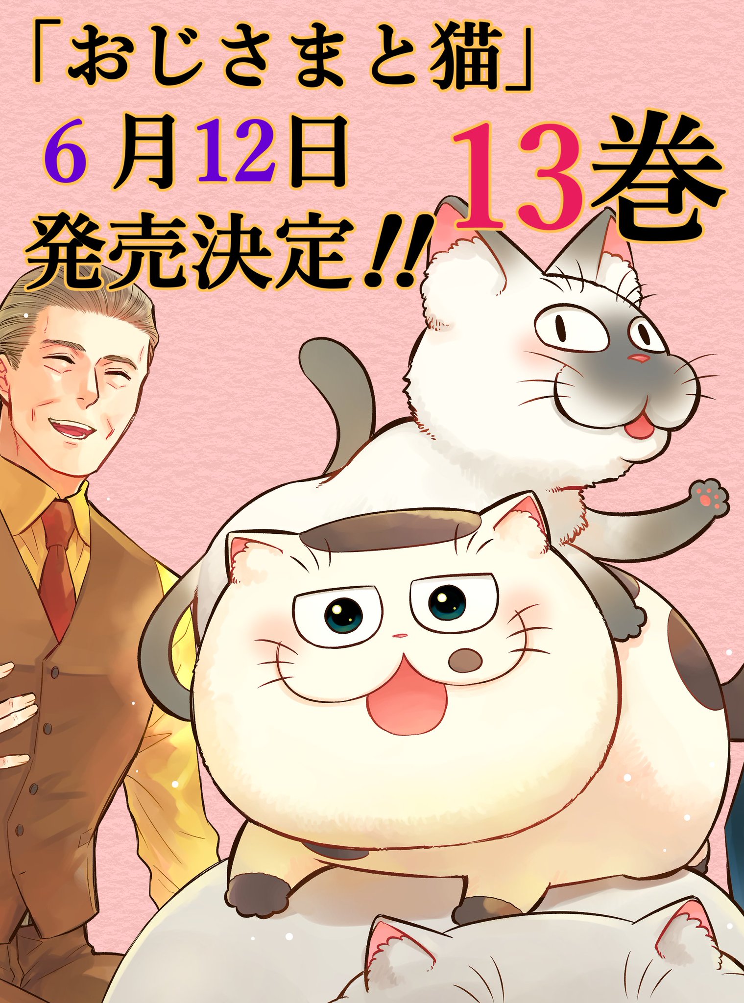 おじさまと猫(1-14巻セット・以下続巻)桜井海|コミック おじさまと猫(1-14巻セット・以下続巻)桜井海|コミック