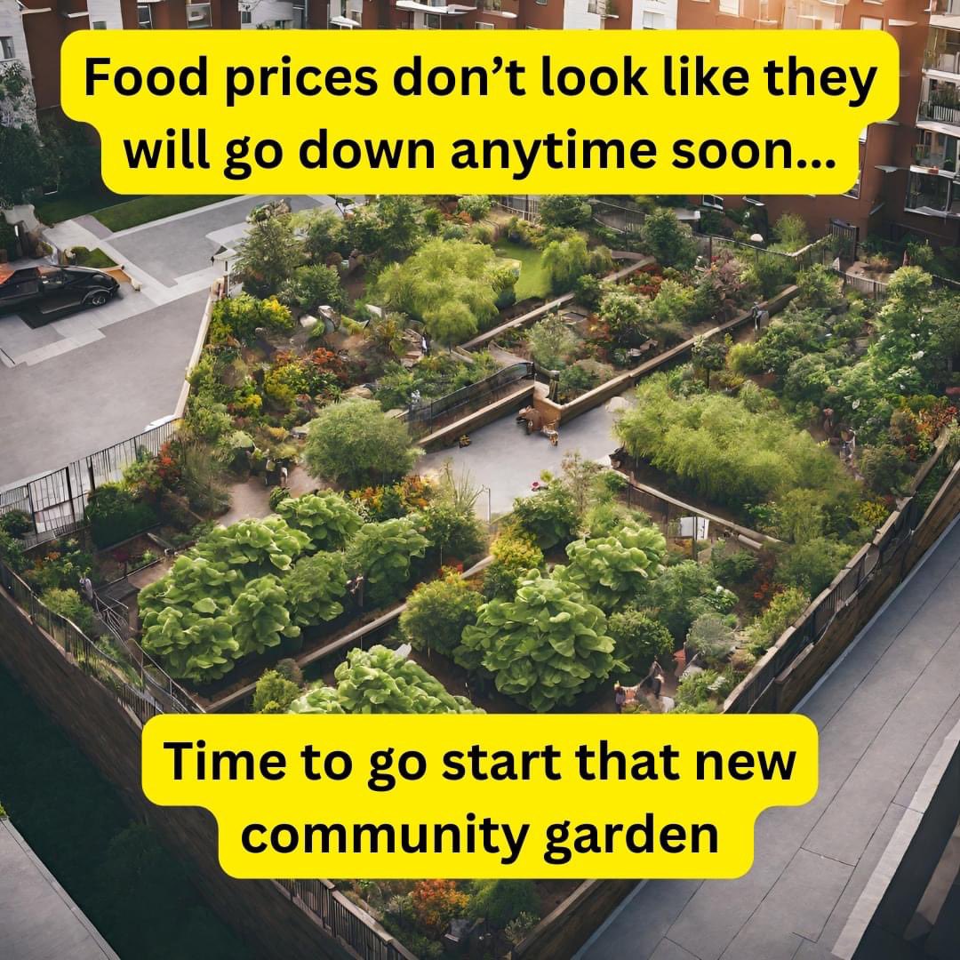 Community Growing Groups are growing! 🤩 We need more! We know food shortages and food price hikes are incoming and it’s time WE ALL do what we can to mitigate the impact! Please connect with your community and start growing! #MoreFarmersMoreFood the-pffa.org/get-involved/c…