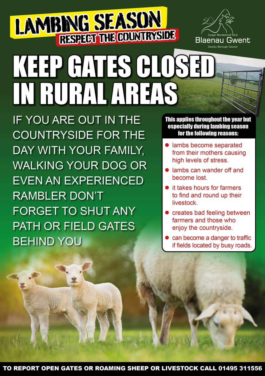 Lambing Season – respect the countryside, keep gates closed in rural areas.