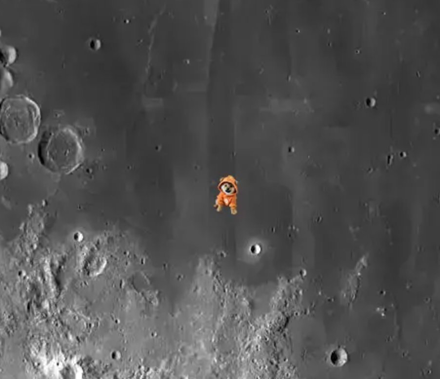 MoneyMike tweet media