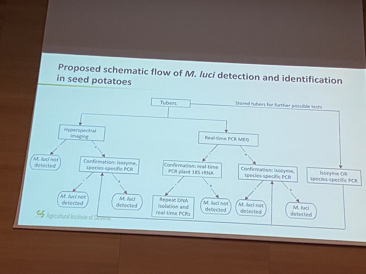 Final day of #ESN2024 . 
A talk by Barbara Geric Stare which   gives an insight on tools to prevent the spread of root-knot nematode M. luci in potato.
It’s very intriguing to know about tools such as Hyperspectral imaging  for  screening  detection @ESNematologists