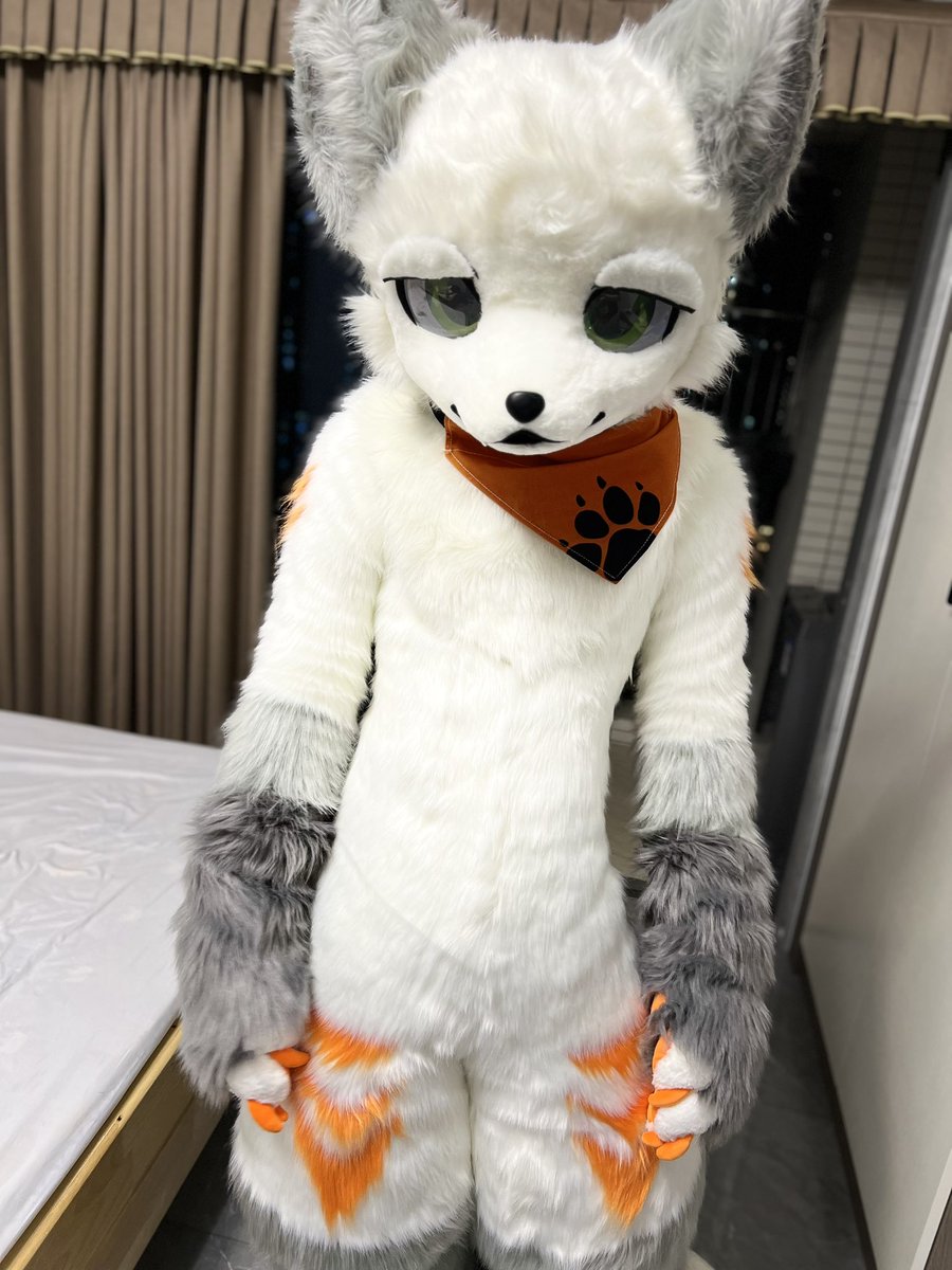 xiaolinxi030's tweet photo. 嘿嘿，好久没发毛五了，发一个毛五，证明还活着
这次是委屈巴巴的林熙
#furry #FursuitFriday #FursuitEveryday https://t.co/8zHRaMFOWB