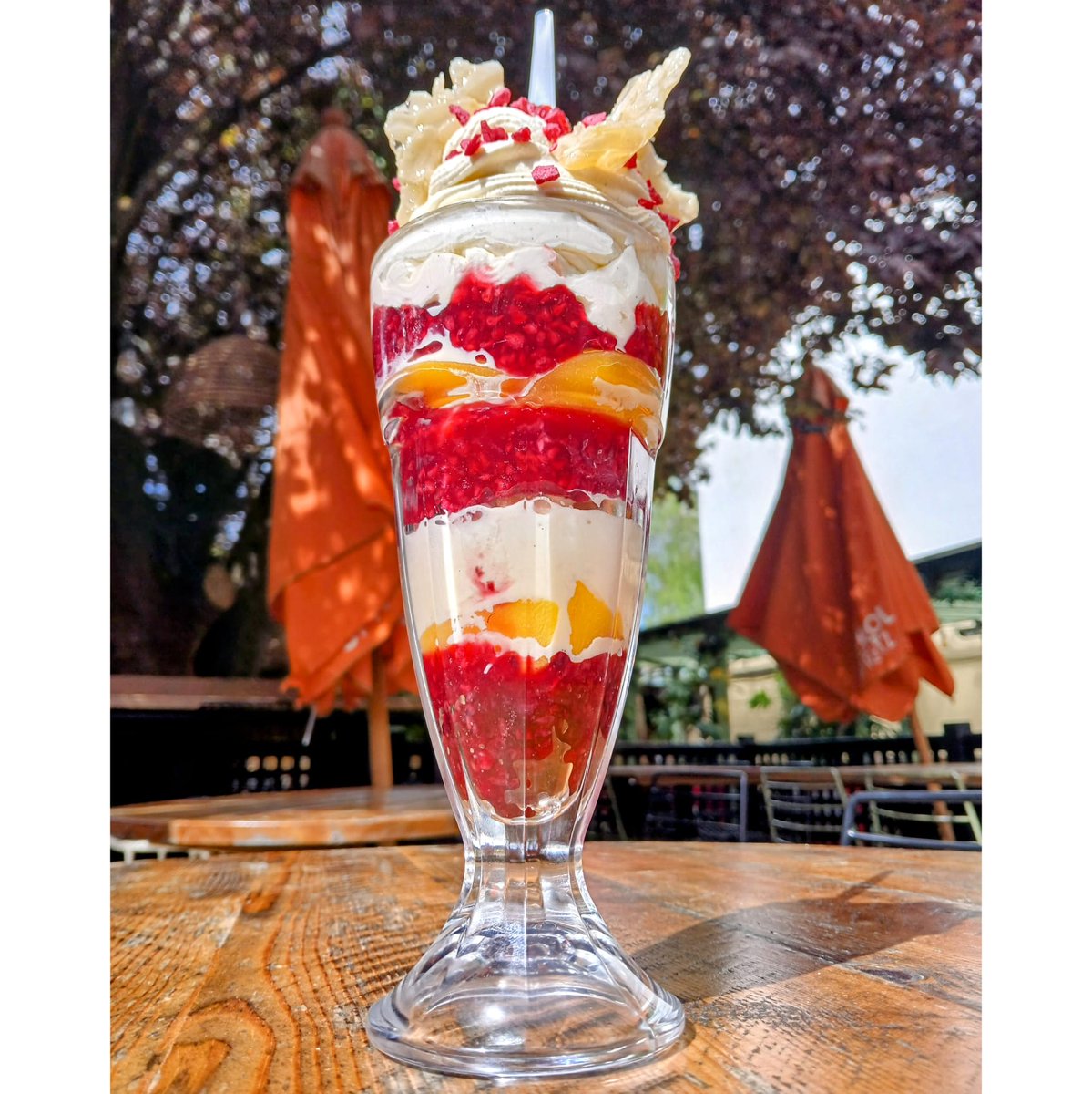 The Maynard Arms tweet media