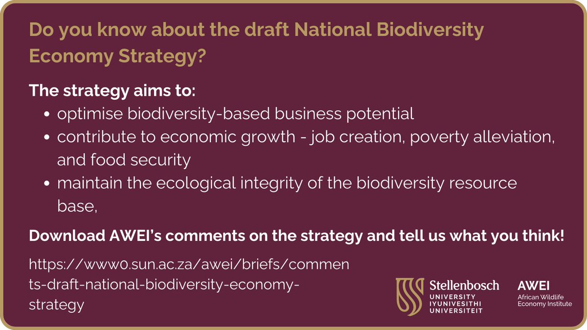 Do you know about the draft National Biodiversity Economy Strategy and what it means for wildlife and people? AWEI submitted comments here: bit.ly/AWEICommentson… #BiodiversityEconomyStrategy #WildlifeEconomy #SustainableUse #NatureBasedSolutions #NatureBasedLivelihoods