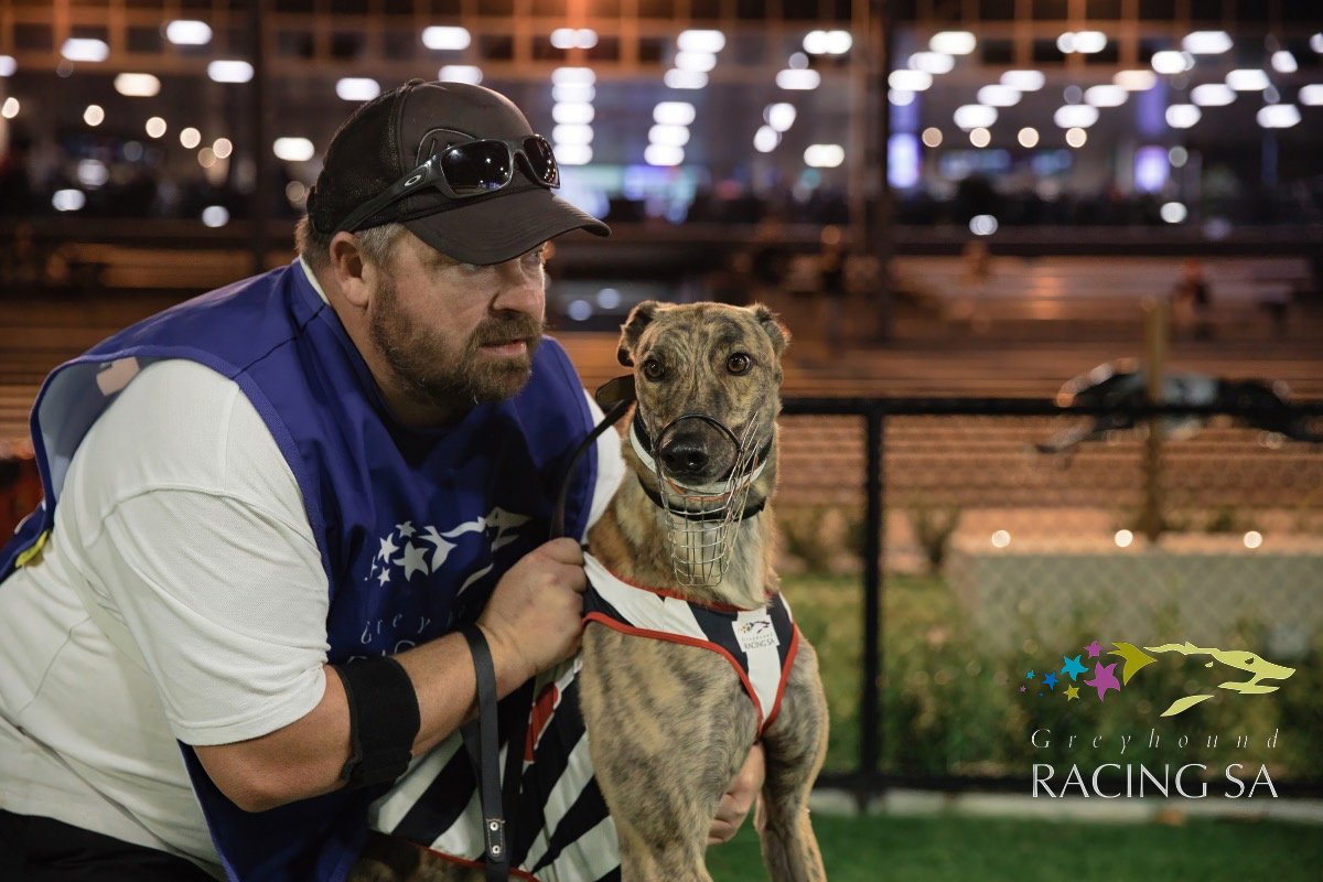 The 2024 Anniversary Cup final is set for next week and it was the local hopes who stamped their credentials on a massive night of racing at Angle Park.

📷Recap: bit.ly/3JrMmSk
📷Ash Penhall Greyhound Photography

#weloveourdogs #greyhoundracing #greyhounds