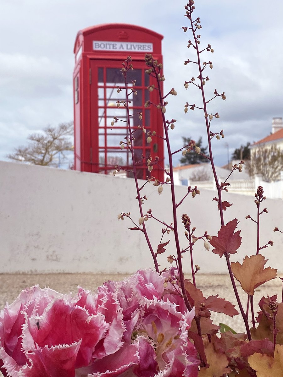 Notre cabine téléphonique "so british" a retrouvé sa belle couleur rouge et une vraie place au cœur de #laiguillonlapresquile Entièrement rénovée par les mais expertes de nos agents, elle servira désormais de boite à livres près du plan d'eau 😍
#VendrediLecture #jaimemaville