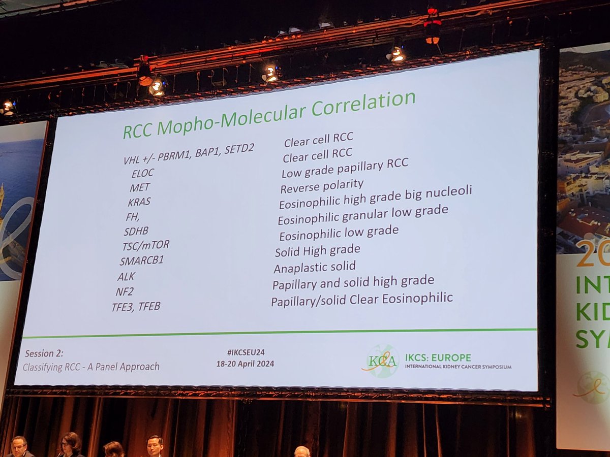 Dr. Ferran Algaba Arrea providing an excellent overview of the increasingly complex classification, including correlations between morphological features and molecular alterations #IKCSEU24 @KidneyCancer