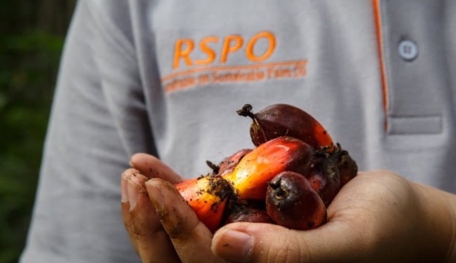 100% certified sustainable palm fruit oil Frymax is proud to be a 100% certified sustainable palm oil product. But why is this so important to our world in general and the regions in which palm oil is cultivated? frymax.co.uk/sustainability/ #palmoil #rspo