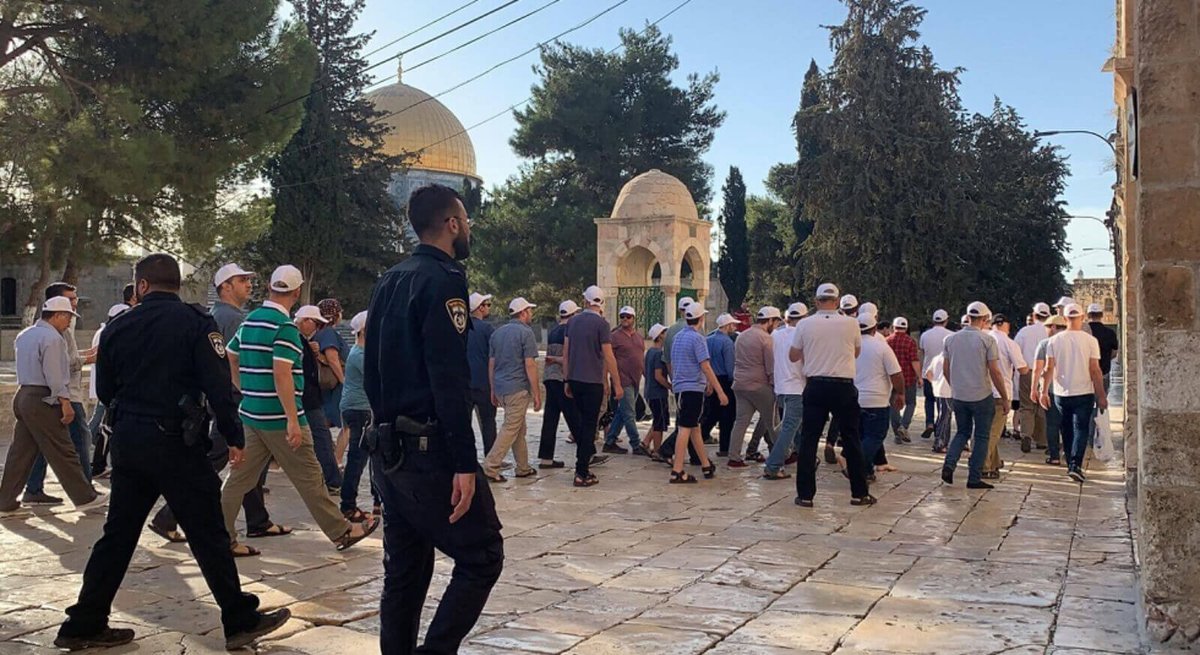 Decenas de colonos judíos irrumpen en la mezquita de Al-Aqsa | somosmass99.com/decenas-de-col…