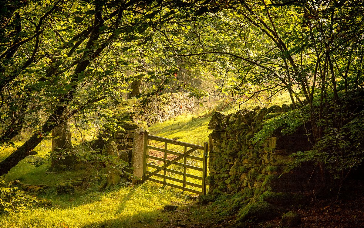 I had passed this gate so many times. This time was just right.