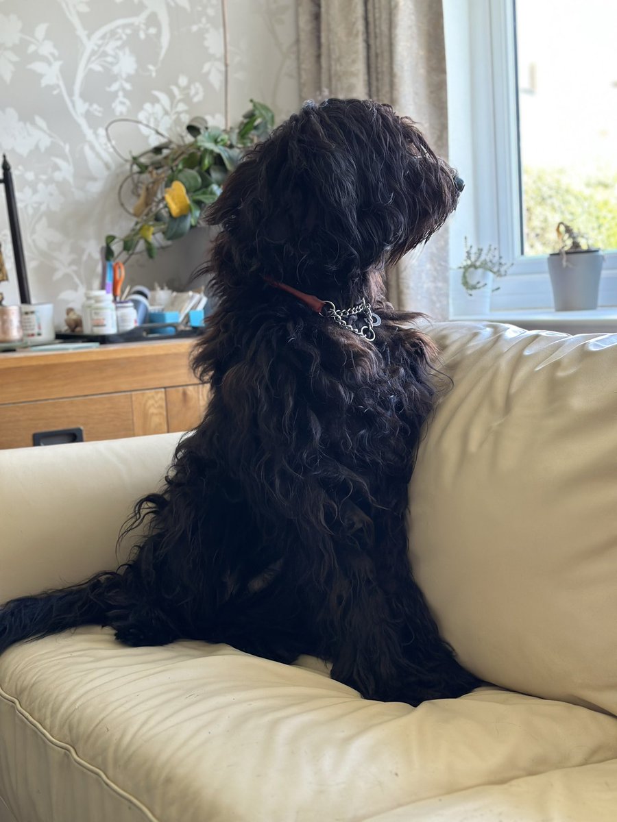 Joanna March tweet media