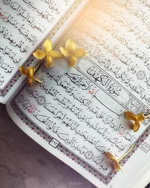 .
﴿ إنَّ اللَّهَ وَ مَلاَئِكَتَهُ يُصَلُّونَ عَلَى النَّبِيّ يَأَيُّهَاالَّذِينَ آمَنُواْ صَلُّواَْعَلَيِْه وَسَلّمُِواْ تَسْلِيماَ ﴾

أّلَلَهِِمَﷺصٌٌَلَِّﷺوَِِّسَـــلَِّمَﷺوَِِبَِِأّرِګﷺْعٌٌلَيه

#صباح_الخير 
#جمعة_مباركة