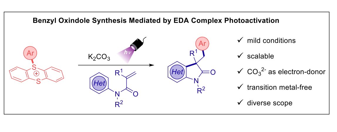 Latest contribution from the group on the elaboration of benzyl oxindoles via EDA-complex photoactivation in <a href="/AdvSynthCatal/">Adv. Synth. & Catal.</a>
Congrats to <a href="/PauSarro/">Pau Sarró</a> and Albert Gallego for the nice job!

onlinelibrary.wiley.com/doi/10.1002/ad…