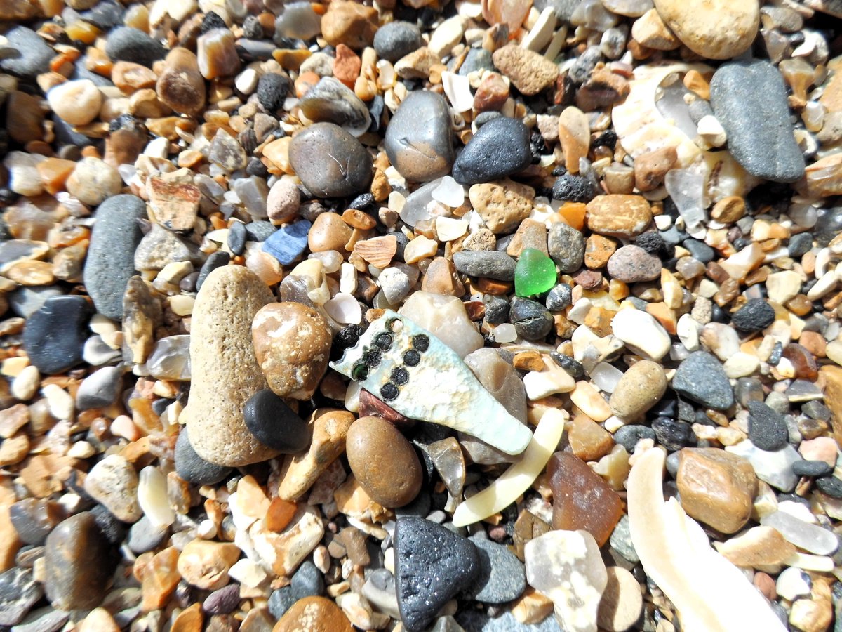 Seaside Randoms!! #beachfinds #seaside #cullercoats #beachcombing #litterpicking #beachcleanup #curiosities #seaglass #potterylove #toothbrush