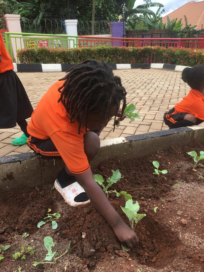 Emunyeenye's tweet photo. Our Ninjas today embarked on the urban gardening,teach them young
#emunyeenye

#inclusiveeducation. https://t.co/omuelxp6cq