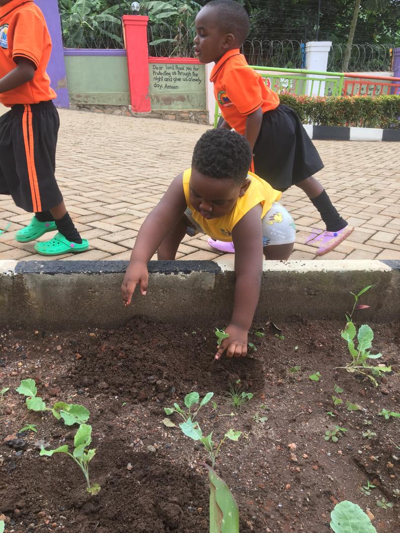 Emunyeenye's tweet photo. Our Ninjas today embarked on the urban gardening,teach them young
#emunyeenye

#inclusiveeducation. https://t.co/omuelxp6cq
