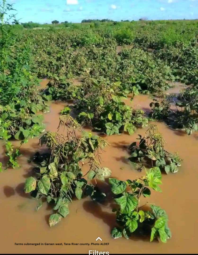 #ASALKenya is grappling with severe #flooding, causing displacement of families & destruction of property. With households seeking shelter in IDP camps, the risk of waterborne diseases increases. Urgent aid is needed to meet the basic needs of those affected.#FloodResponse