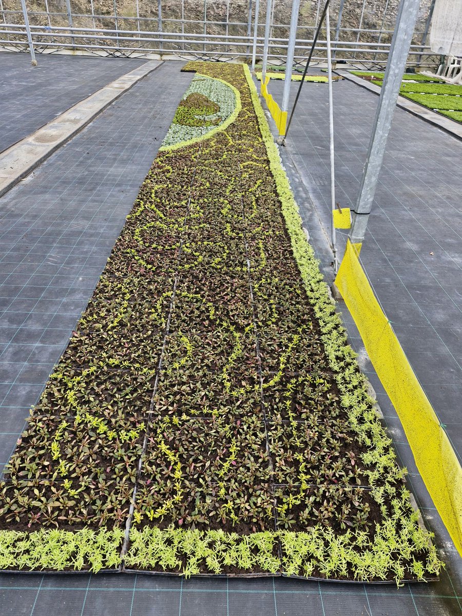 Production underway!
We are delighted that the first of this year's creations are now coming together, courtesy of the skill and hard work of Diana, Olena, and Sara. Many more to follow, including 3-dimension displays such as a Spitfire for DDay 80, so we look forward to sharing!