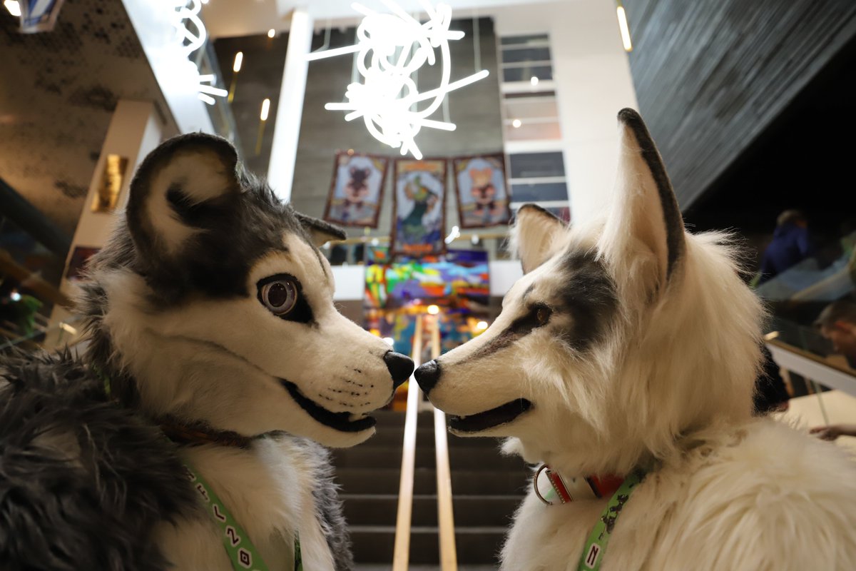 Happy #FursuitFriday 

📷 <a href="/burutatsu/">Burutatsu 🇩🇪🇬🇧 🔜BFD, C.A.M.P, EF</a>
🦊 <a href="/Kitavos_DE/">Kitavos 🇩🇪 🔜 BFD 🇩🇪</a> ♥️
🗓 23.02.2024
🏞 #NFC2024 
🏙 #Malmö 🇸🇪

#NFC #NFC10 #NordicFuzzCon #Fursuit #Furcon #Furry #Sweden #Furs #Husky
