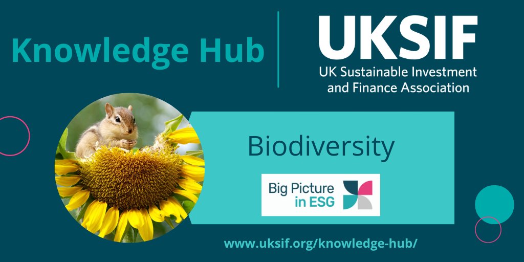Exploring biodiversity's role in sustainable finance: New research delves into investor attitudes and evolving portfolios embracing long-term commitments to biodiversity. Learn more in our Knowledge Hub: uksif.org/article-catego… #SustainableFinance #Biodiversity