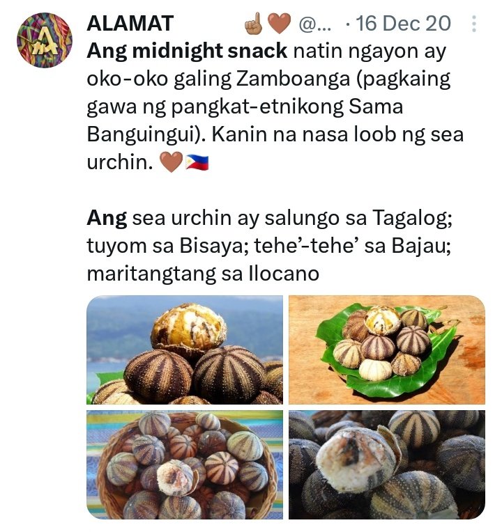 ALASKALBO's tweet photo. AND PLEASE BRING BACK ALAMAT MIDNIGHT SNACKS!!
a great way to promote and introduce to other Filipinos (and internationals) the regional dishes and delicacies from all over the Philippines! ♡ #ALAMAT https://t.co/7q3OnJJ3Rc