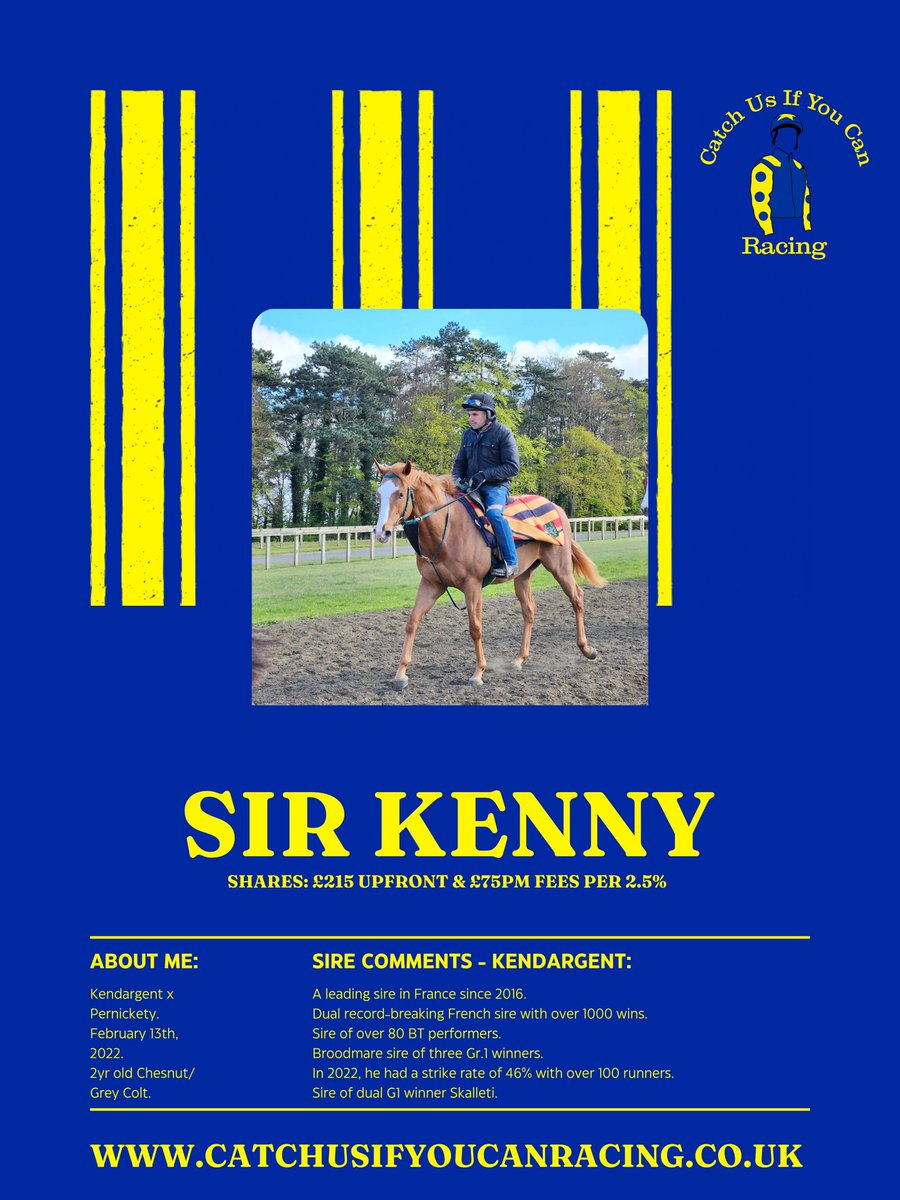 Sir Kenny: In training with @dylancunha_uk Kendargent x Pernickety. £215 upfront & £75pm fees per 2.5%. Kendargent is a leading French sire standing at @HarasColleville He is a dual record-breaking sire with over 1000 wins, including the dual G1 and multiple G2, G3 winner…