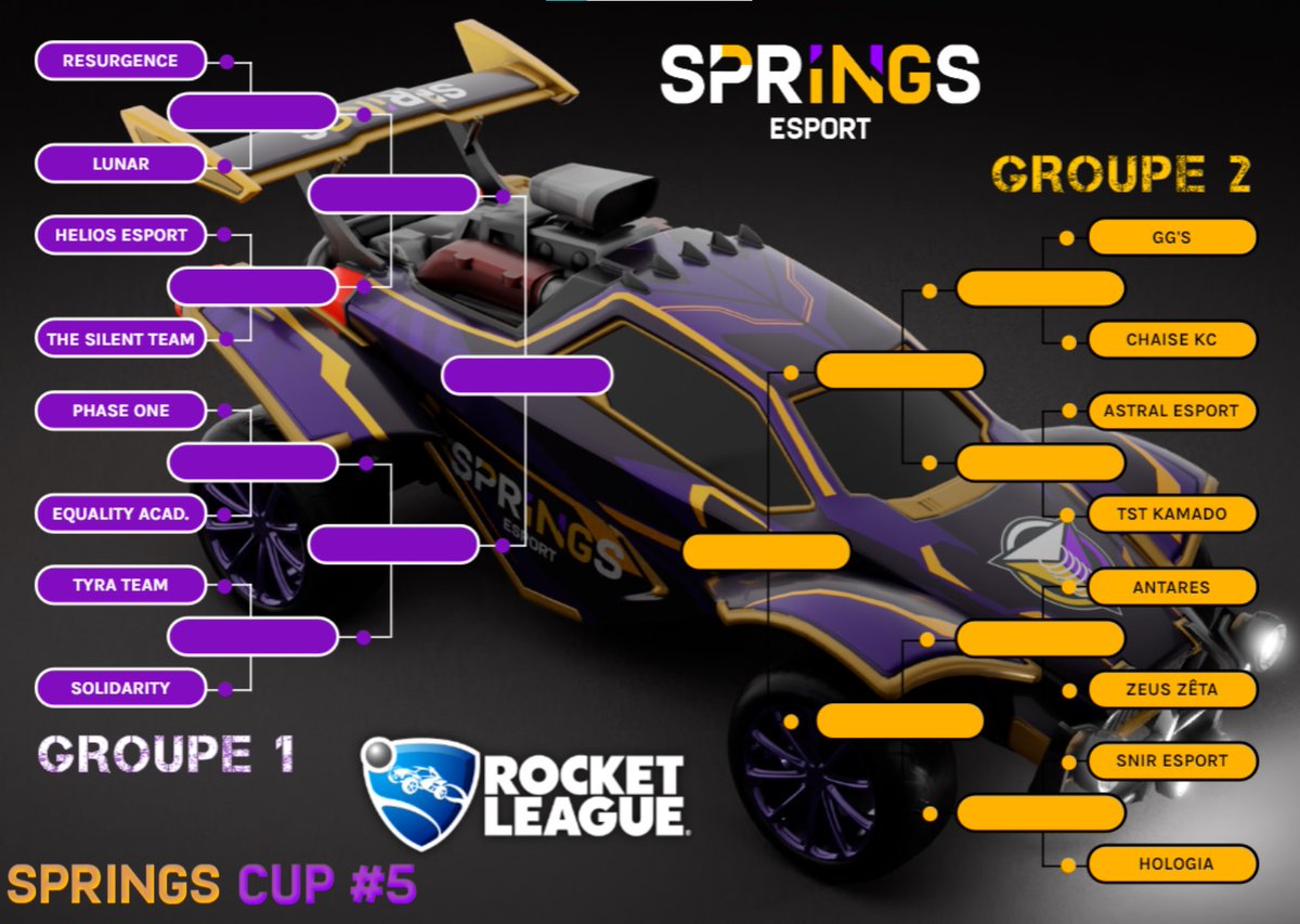 SpringsEsportRL's tweet photo. Et voici les rencontres qui auront lieu ce week-end !!!
#SpringsCup https://t.co/5qirMSb9ep