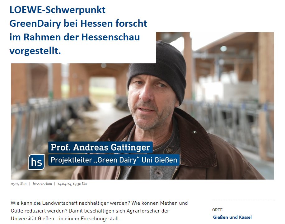 ProLOEWE (@proloewe) on Twitter photo LOEWE-GreenDairy <a href="/jlugiessen/">Universität Gießen</a> <a href="/uni_kassel/">Universität Kassel</a> in der <a href="/hessenschau/">Hessenschau</a>: Ziel von GreenDairy ist es, innovative Tier-Pflanzen-Agrarsysteme zu entwickeln, die sowohl ökologisch+ökonomisch nachhaltig sind als auch ein besonderes Maß an🐮Tierwohl ermöglichen, mehr dazu➡️proloewe.de/de/loewe-vorha… LOEWE-GreenDairy <a href="/jlugiessen/">Universität Gießen</a> <a href="/uni_kassel/">Universität Kassel</a> in der <a href="/hessenschau/">Hessenschau</a>: Ziel von GreenDairy ist es, innovative Tier-Pflanzen-Agrarsysteme zu entwickeln, die sowohl ökologisch+ökonomisch nachhaltig sind als auch ein besonderes Maß an🐮Tierwohl ermöglichen, mehr dazu➡️proloewe.de/de/loewe-vorha…