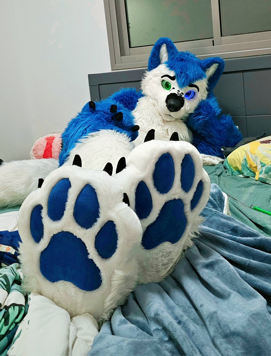 See something you like?
Come and worship them paws then 🐾🐾

Happy #FursuitFriday 💙💚