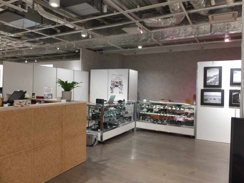 ラッキーカメラ店 tweet media