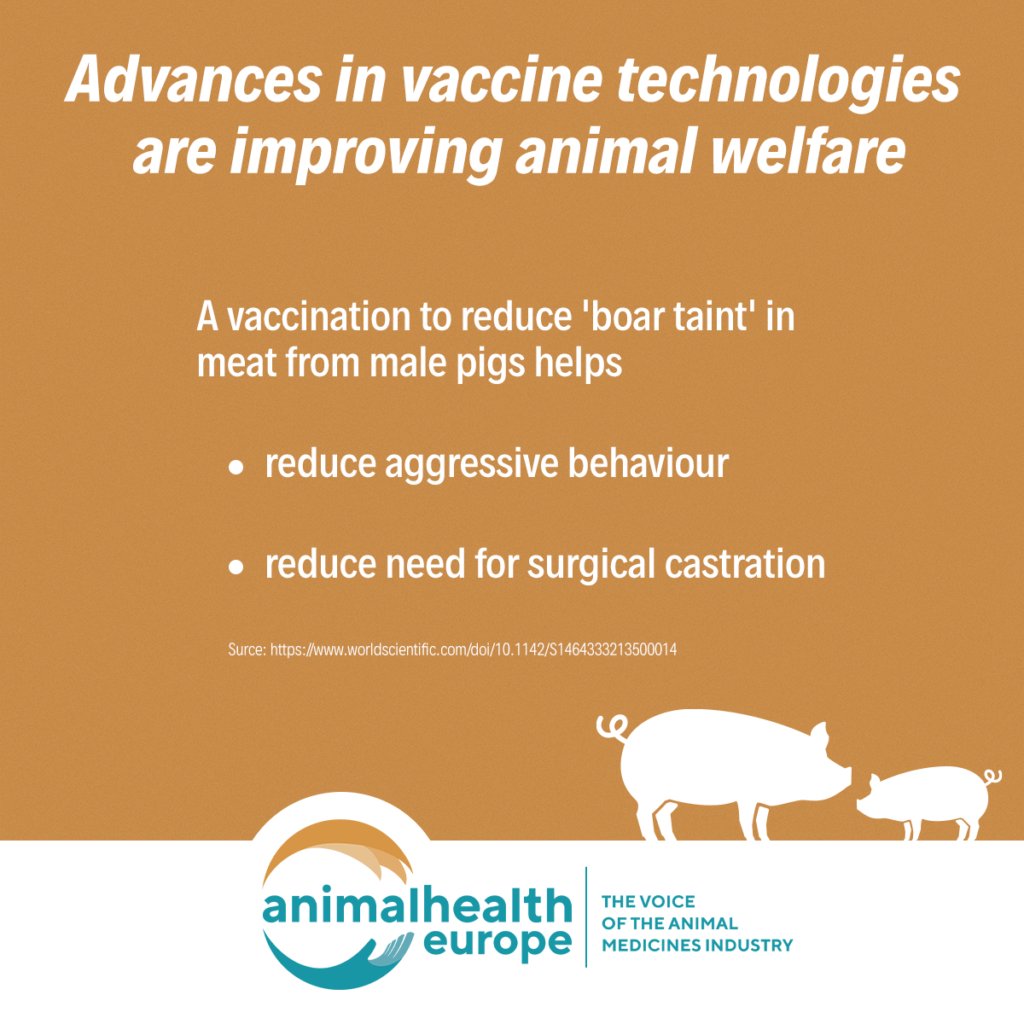 Did you know? Advances in vaccines technologies help improve #AnimalWelfare  
Check this example for pig farms 🐖⤵️ 

#WAVD #WorldImmunizationWeek2024
