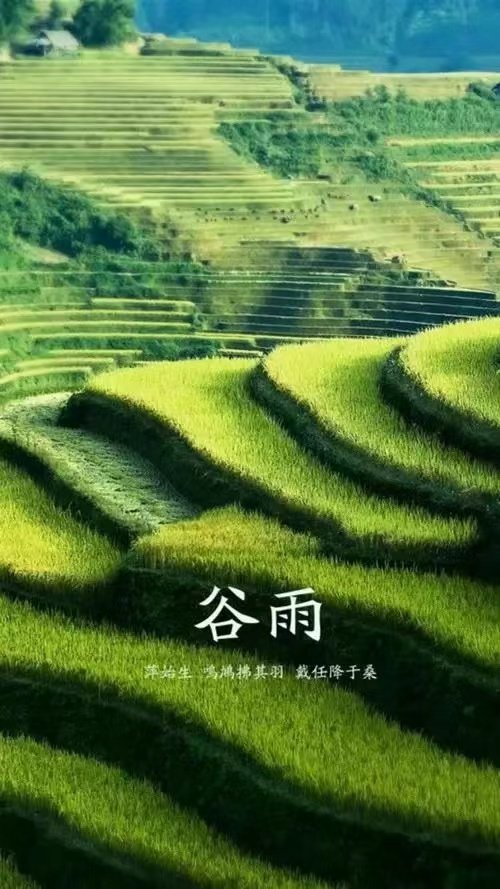 lf226855's tweet photo. 谷雨，美好如初，雨落情长，吉祥.好运.幸福.快乐…… https://t.co/LO1HNzWKJB