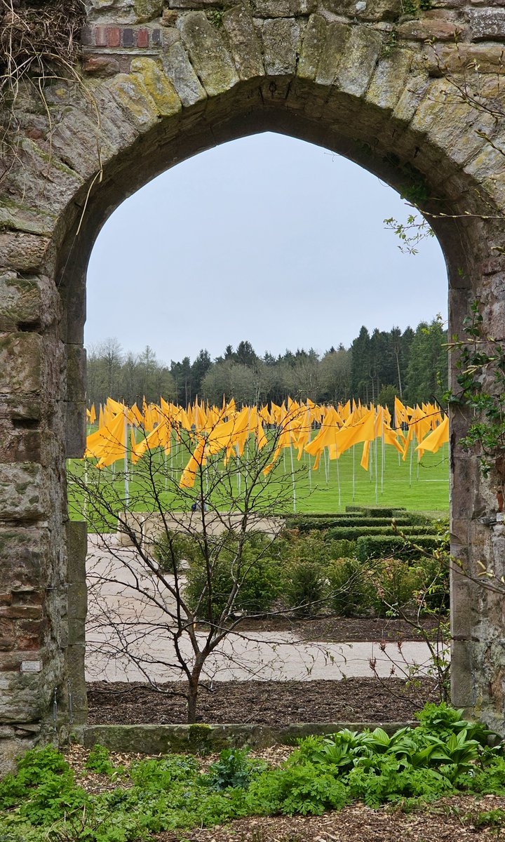 A view from the castle ruins of the art installation @lowthercastle that had its opening yesterday. Its on until May 6th, an uplifting artwork by @rougeit Here's a link to what I've written about the event reckless-gardener.co.uk/lowther-castle…