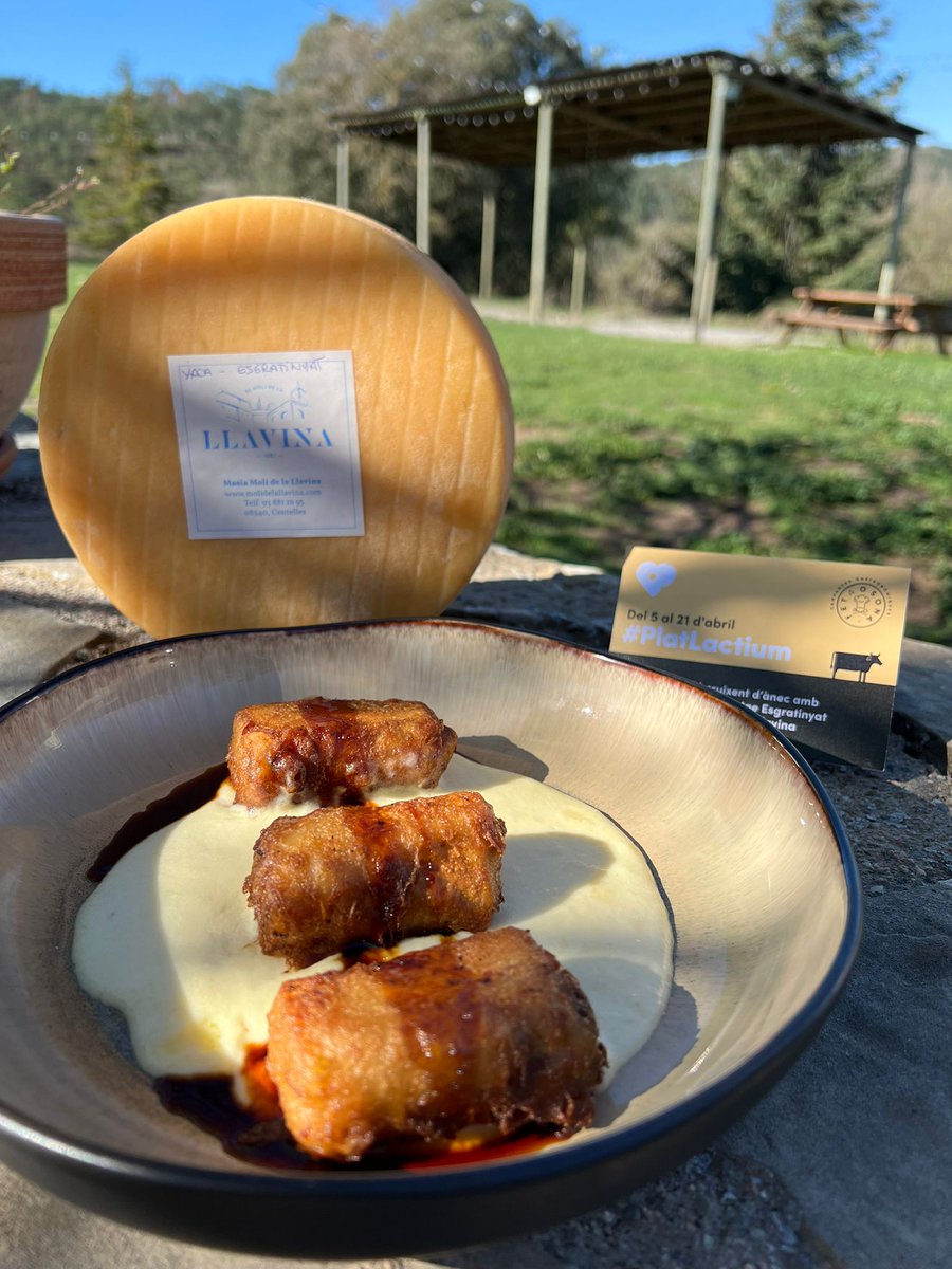 🍽I acabem la ruta del #PlatLactium a Mas Monells amb aquest caneló cruixent d’ànec amb crema de formatge Esgratinyat del Molí de la Llavina! 👉Del 5 al 21 d'abril als restaurants d'Osona Cuina! I aquest cap de setmana, per fi, @LactiumVic! +info a osonacuina.com