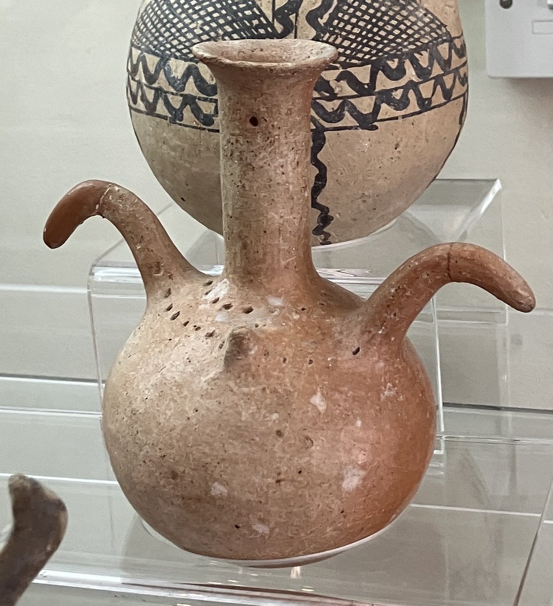 Dr Anna Reeve tweet media