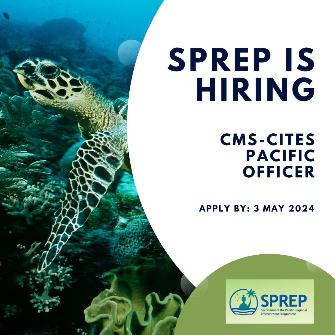 #JobOpening: Do you have experience in conservation management and planning in Oceania? Then join the SPREP Secretariat and contribute to marine species conservation from an international perspective! #Applynow by 3 May 2024! ➡️sprep.org/careers