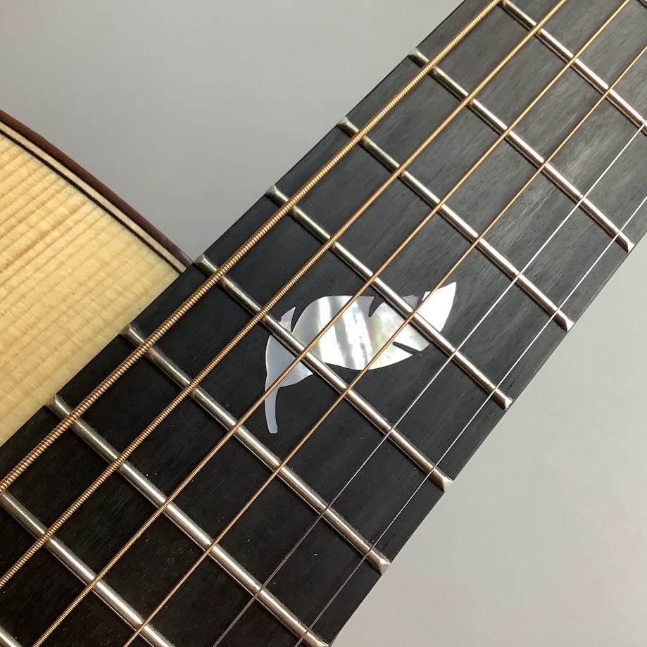 shima_ka2ragawa's tweet photo. 美しい羽が12F上とロゼッタにデザインされた
Naga Guitars / G-08OOC
https://t.co/2DLIWoox6D

リーズナブルでプレイヤーがいつも最高のパフォーマンスを発揮できるクオリティと美しい音色を備えたギターを作成するNagaGuitars製品が入荷しました！！

ケースもめちゃくちゃかわいい！
#ギター https://t.co/ZjLXnOQT1h