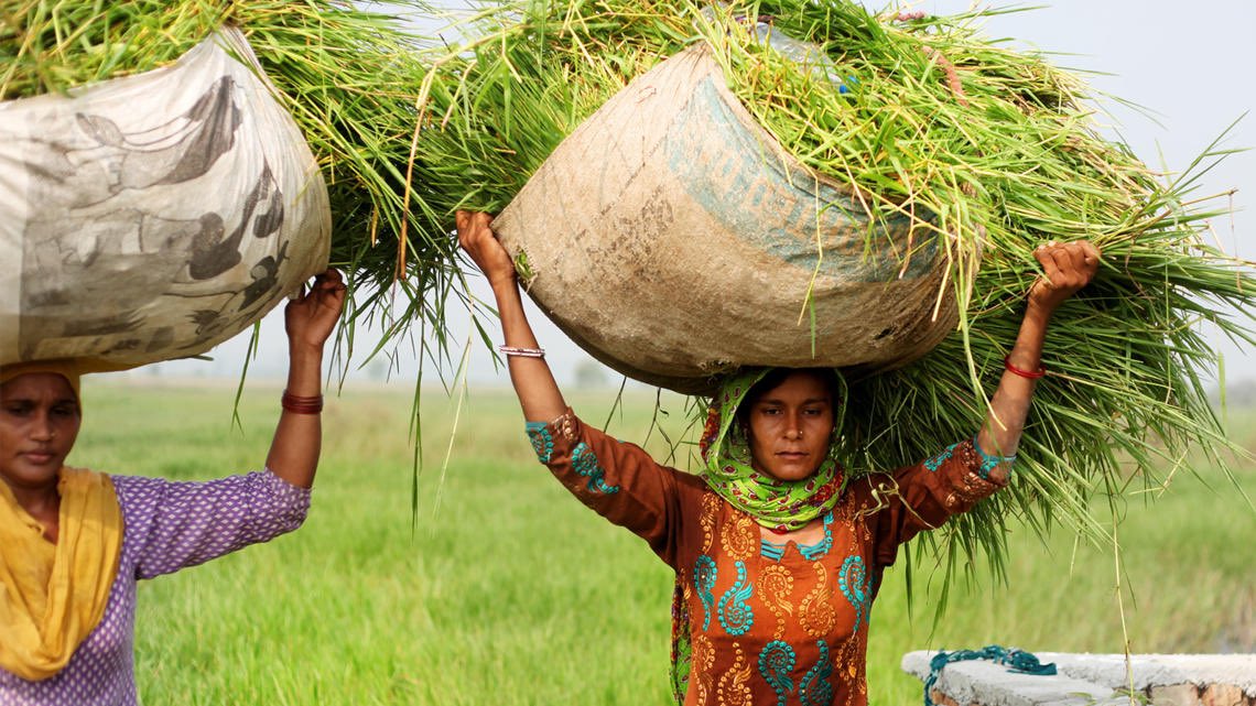 If you think women have to work because of modernity, then I have news for you. Modernity pulled women out of the back breaking farms and allowed them the luxury to be teachers or sit in air conditioned offices or be dentists instead.